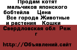 Продам котят мальчиков японского бобтейла. › Цена ­ 30 000 - Все города Животные и растения » Кошки   . Свердловская обл.,Реж г.